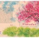 floradas - aberta